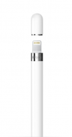 Стилус Apple Pencil (1st  Generation 2025) + USB-C Adapter MYQW3