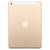 Apple iPad 32Gb Wi-Fi Gold