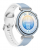 Смарт-часы HUAWEI Watch GT 7 41mm Blue NSU-B39
