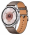 Смарт-часы HUAWEI Watch GT 6 46mm Brown ATM-B19