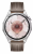 Смарт-часы HUAWEI Watch GT 6 46mm Brown ATM-B19