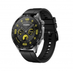 Смарт-часы HUAWEI Watch GT4 PNX-B19 Black