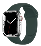 Силиконовый ремешок Apple Watch 42/44mm, цвет Olive Green
