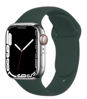 Силиконовый ремешок Apple Watch 38/40mm, цвет Olive Green